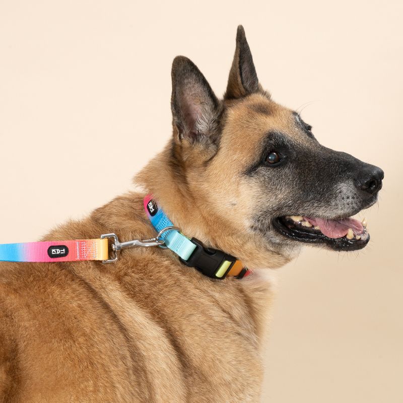 TIAKI Hundeleine Rainbow