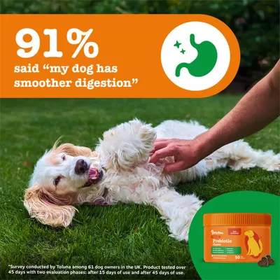 Zesty Paws Probiotic Chews Digestion - Pumpkin - dog supplements - 50 Chews Zesty Paws Probiotic Chews Digestion - Pumpkin - dog supplements - 50 Chews