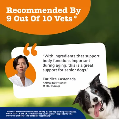 Zesty Paws Senior Advanced 9-in-1 Chews -Turkey - dog supplements - 50 Chews