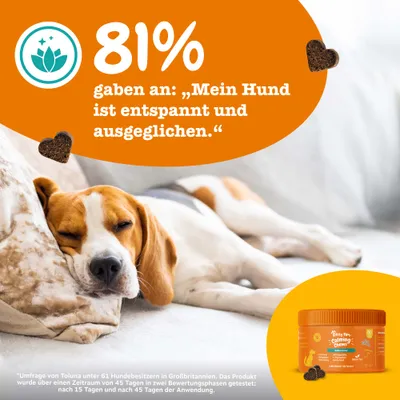 Zesty Paws Calming Chews Truthahn