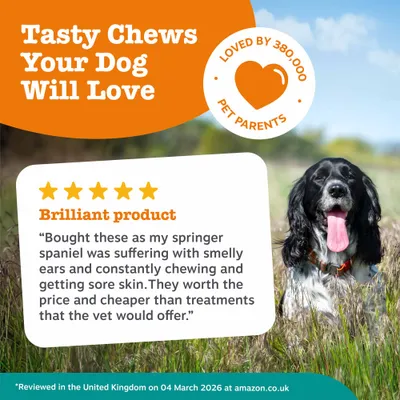 Zesty Paws Calming Chews - Turkey - dog supplements - 50 Chews Zesty Paws Calming Chews - Turkey - dog supplements - 50 Chews