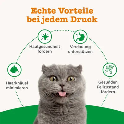 Echte Vorteile bei jedem Druck: Haarknäuel minimieren, Hautgesundheit fördern, Verdauung unterstützen, gesunden Fellzustand fördern. Katze im Vordergrund. Echte Vorteile bei jedem Druck: Haarknäuel minimieren, Hautgesundheit fördern, Verdauung unterstützen, gesunden Fellzustand fördern. Katze im Vordergrund.