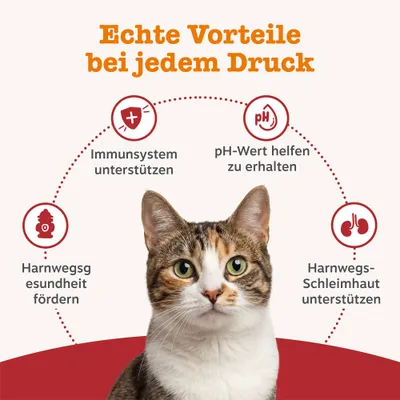 Echte Vorteile bei jedem Druck: Immunsystem unterstützen, pH-Wert helfen zu erhalten, Harnwegsgesundheit fördern, Harnwegs-Schleimhaut unterstützen. Echte Vorteile bei jedem Druck: Immunsystem unterstützen, pH-Wert helfen zu erhalten, Harnwegsgesundheit fördern, Harnwegs-Schleimhaut unterstützen.