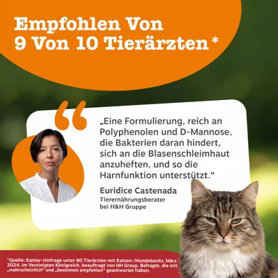 Empfohlen von 9 von 10 Tierärzten. Formulierung mit Polyphenolen und D-Mannose unterstützt Harnfunktion laut Euridice Castenada, Tierernährungsberater bei H&H Gruppe. Empfohlen von 9 von 10 Tierärzten. Formulierung mit Polyphenolen und D-Mannose unterstützt Harnfunktion laut Euridice Castenada, Tierernährungsberater bei H&H Gruppe.
