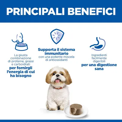 Hill's Science Plan Mature Small & Mini Mousse umido per cane
