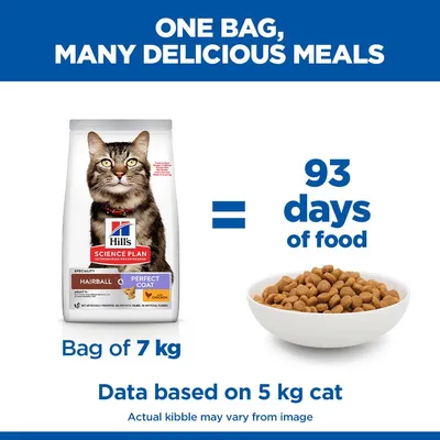 Hill's Science Plan Hairball & Perfect Coat Adult Chicken