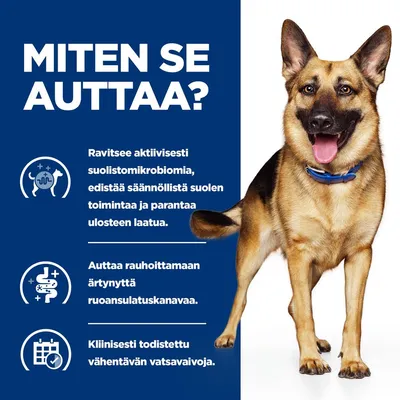 Grafiikka, jossa on kolme kohtaa: edistää suoliston mikrobiston ja ulosteen laatua, rauhoittaa ruoansulatuskanavaa, kliinisesti todistetusti vähentää vatsavaivoja. Kuvassa koira vieressä. Grafiikka, jossa on kolme kohtaa: edistää suoliston mikrobiston ja ulosteen laatua, rauhoittaa ruoansulatuskanavaa, kliinisesti todistetusti vähentää vatsavaivoja. Kuvassa koira vieressä.