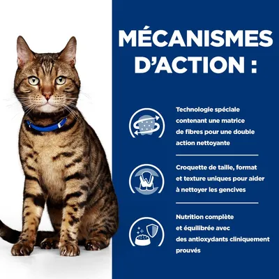 Graphique avec chat et texte en français : technologie de fibres spéciale pour un double effet nettoyant, forme unique de croquettes pour le nettoyage des dents, alimentation équilibrée avec antioxydants.