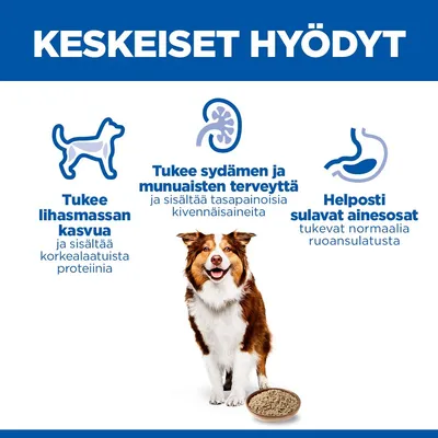 Grafiikka, jossa on koira ja kolme etua: tukee lihasten kasvua, sydämen ja munuaisten terveyttä sekä helposti sulavat ainesosat normaalia ruoansulatusta varten. Grafiikka, jossa on koira ja kolme etua: tukee lihasten kasvua, sydämen ja munuaisten terveyttä sekä helposti sulavat ainesosat normaalia ruoansulatusta varten.