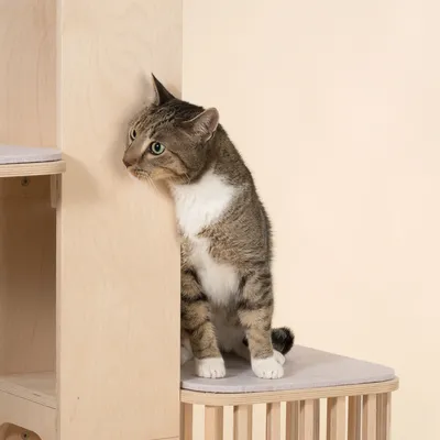 Natural Paradise Tulip kradsetræ Natural Paradise Tulip kradsetræ