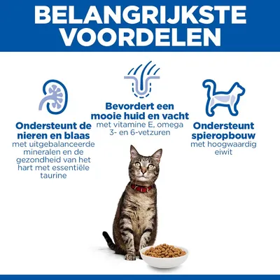 Hill's Science Plan Adult 1-6 Zalm