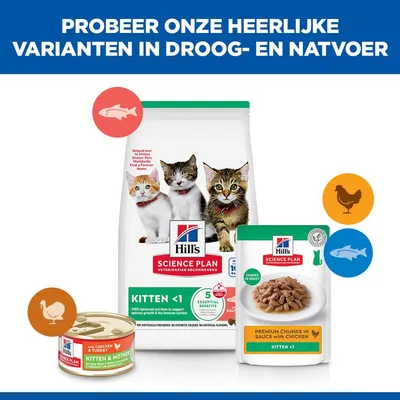 Hill's Science Plan Kitten <1 Zalm