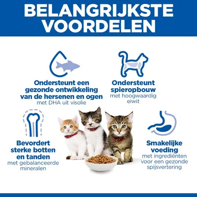 Hill's Science Plan Kitten <1 Zalm