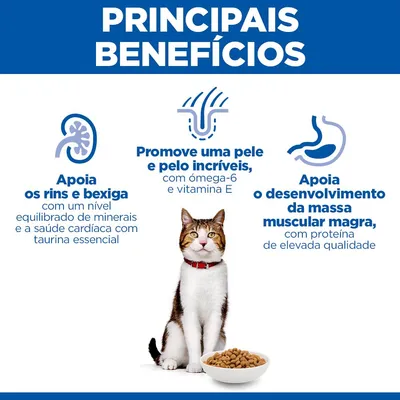 Hill's Science Plan Mature Adult 7+ com salmão