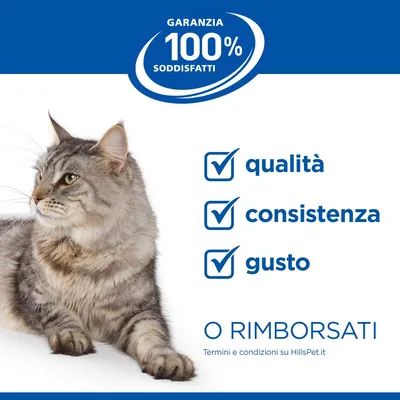 Hill's Prescription Diet i/d Digestive Care Kitten Pollo in Salsa