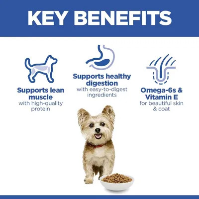 Hill’s Science Plan Adult 1-6 Small & Mini with Chicken