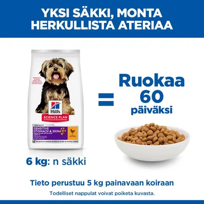 Hill's Science Plan Sensitive Stomach & Skin kanaa sisältävä, 6 kg säkki, riittää 60 päivän ruoaksi 5 kg painoiselle koiralle. Kuvassa näkyy kuivaruokaa kulhossa. Hill's Science Plan Sensitive Stomach & Skin kanaa sisältävä, 6 kg säkki, riittää 60 päivän ruoaksi 5 kg painoiselle koiralle. Kuvassa näkyy kuivaruokaa kulhossa.