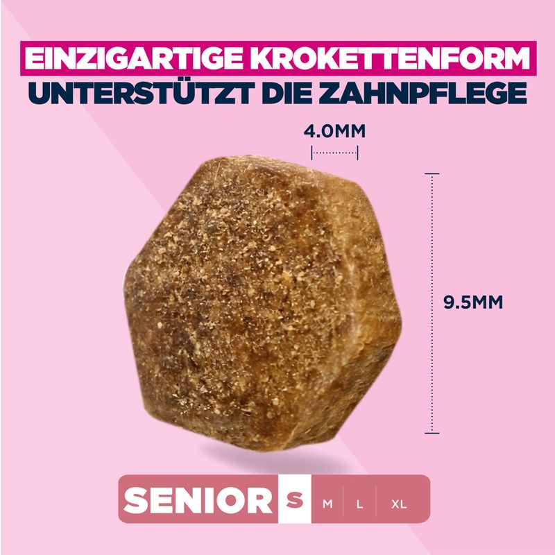 Eukanuba Premium Nutrition Senior Small Breed Huhn