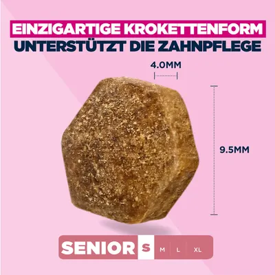 Eukanuba Premium Nutrition Senior Small Breed Huhn