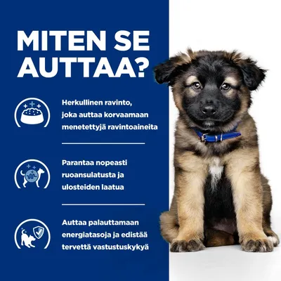 Hill's Prescription Diet i/d Digestive Care Puppy kana