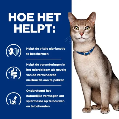 Hoe het helpt: Beschermt de nierfunctie, ondersteunt het microbioom bij een verminderde nierfunctie en bevordert het behoud van de spiermassa.
