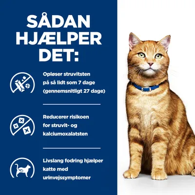 Grafik med tekst: Opløser struvitsten på 7 dage, reducerer risikoen for struvit- og calciumoxalatsten, livslang fodring hjælper katte med urinvejssymptomer.