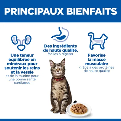 Principaux avantages : teneur équilibrée en minéraux pour les reins et la vessie, ingrédients de haute qualité et faciles à digérer, soutient la masse musculaire grâce à des protéines de qualité supérieure. Principaux avantages : teneur équilibrée en minéraux pour les reins et la vessie, ingrédients de haute qualité et faciles à digérer, soutient la masse musculaire grâce à des protéines de qualité supérieure.
