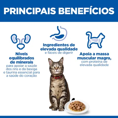 Níveis equilibrados de minerais, ingredientes de elevada qualidade e apoia a massa magra com proteína de alta qualidade. Imagem de um gato e de um prato com alimento.