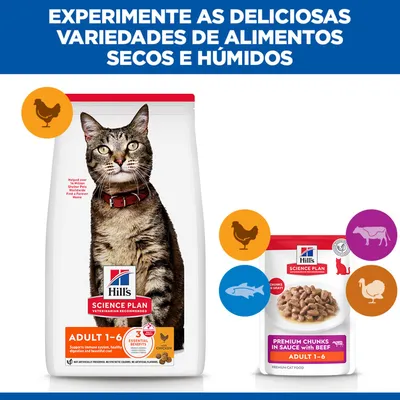 Hill's Science Plan Adult 1-6 ração seca com frango e ração húmida com vaca, ícones para frango, vaca, peixe e peru visíveis.