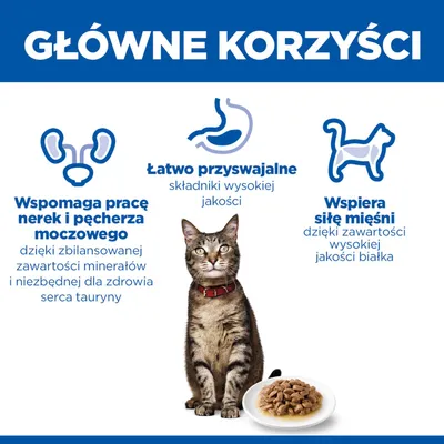 Główne zalety: Wspiera zdrowie nerek i pęcherza, łatwo przyswajalne składniki, wspomaga siłę mięśni dzięki wysokiemu poziomowi białka. Obraz kota i miski na karmę. Główne zalety: Wspiera zdrowie nerek i pęcherza, łatwo przyswajalne składniki, wspomaga siłę mięśni dzięki wysokiemu poziomowi białka. Obraz kota i miski na karmę.