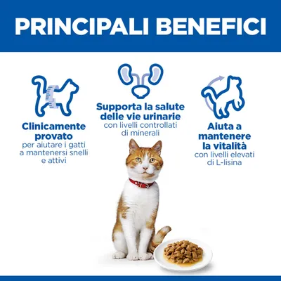 Vantaggi principali: clinicamente testato, supporta la salute delle vie urinarie grazie a minerali controllati, aiuta a mantenere la vitalità con un alto contenuto di L-lisina. Vantaggi principali: clinicamente testato, supporta la salute delle vie urinarie grazie a minerali controllati, aiuta a mantenere la vitalità con un alto contenuto di L-lisina.