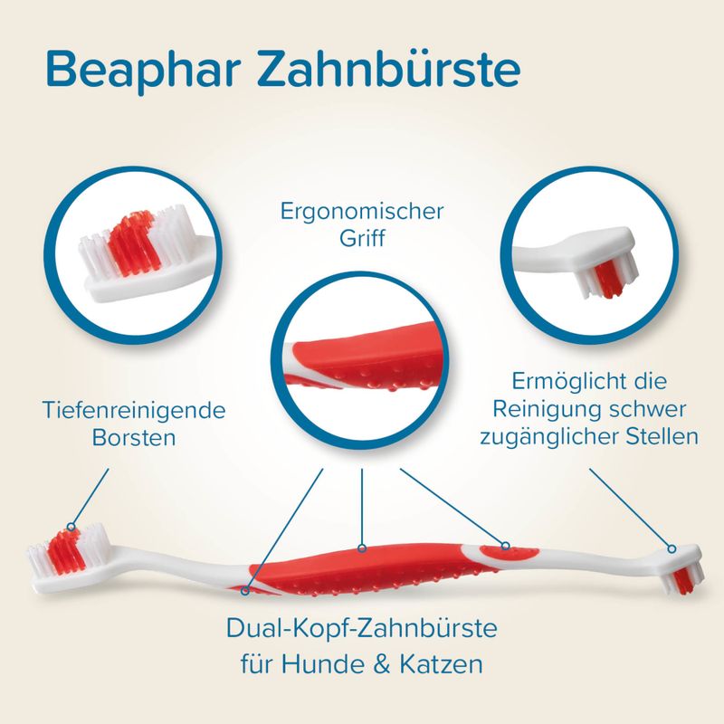 beaphar Zahnbürste für Hunde