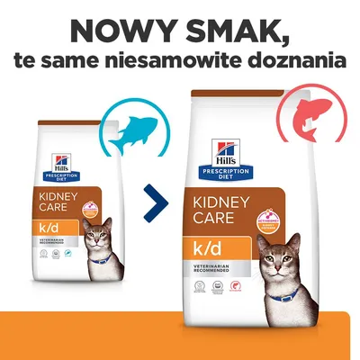 Hill's Prescription Diet k/d Kidney Care, z łososiem