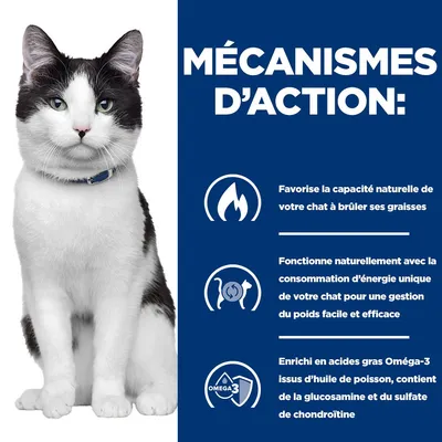 Hill's Prescription Diet j/d Metabolic + Mobility avec poulet Hill's Prescription Diet j/d Metabolic + Mobility avec poulet