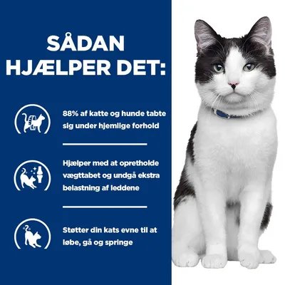 Hill's Prescription Diet j/d Metabolic + Mobility med kylling