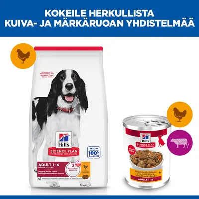 Hill's Science Plan Adult 1-6 kuivaruoka kanalla ja märkäruoka kanalla ja naudalla aikuisille koirille, yhdistelmä kuivaruokaa ja märkäruokaa kuvattuna. Hill's Science Plan Adult 1-6 kuivaruoka kanalla ja märkäruoka kanalla ja naudalla aikuisille koirille, yhdistelmä kuivaruokaa ja märkäruokaa kuvattuna.
