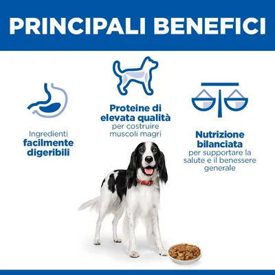 Hill's Science Plan Adult Stew