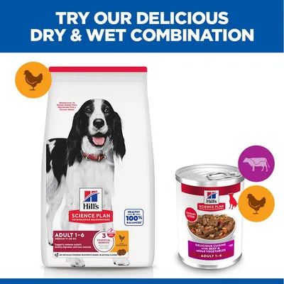 Hill's Science Plan Adult Stew