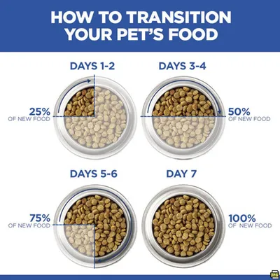 Hill's Science Plan Adult Stew