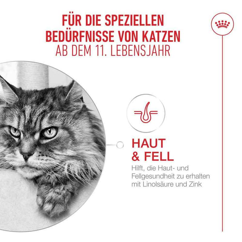 Royal Canin Ageing 11+ in Soße
