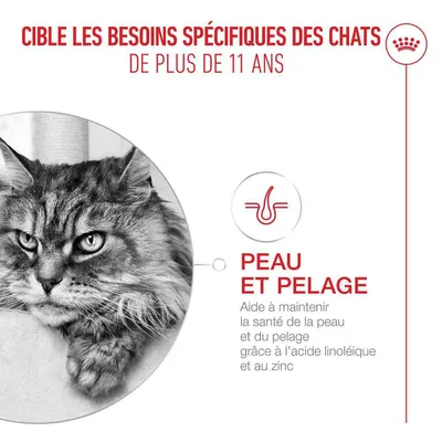 Royal Canin Ageing 11+ en gelée Royal Canin Ageing 11+ en gelée