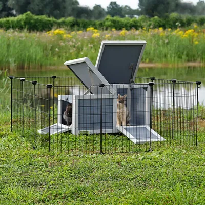 Lionto Free-Range Metal Enclosure