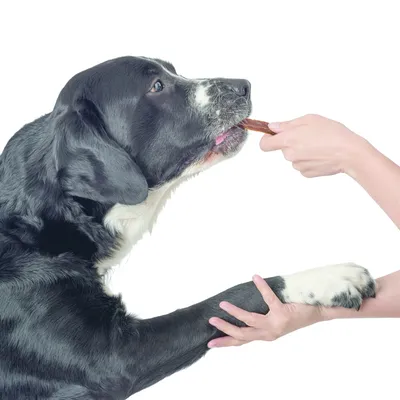 Snack HUNTER Real Sticks 80 g