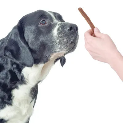 Snack HUNTER Real Sticks 80 g