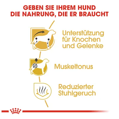 Geben Sie Ihrem Hund die Nahrung, die er braucht: Unterstützung für Knochen und Gelenke, Muskeltonus, reduzierter Stuhlgeruch.