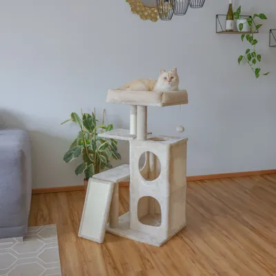 Kerbl Pet Arbre à chat Alessia, beige