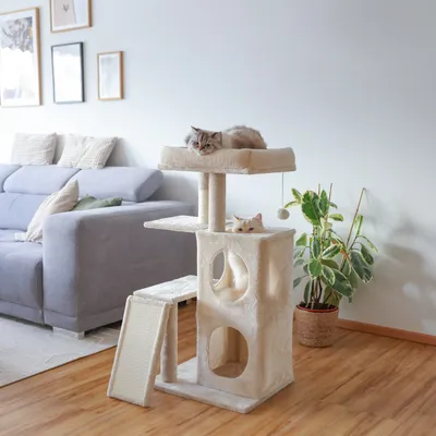 Kerbl Pet Arbre à chat Alessia, beige