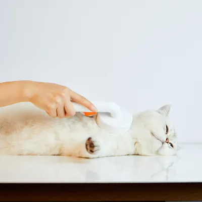 Petkit Pflegebürste für Haustiere 2.0