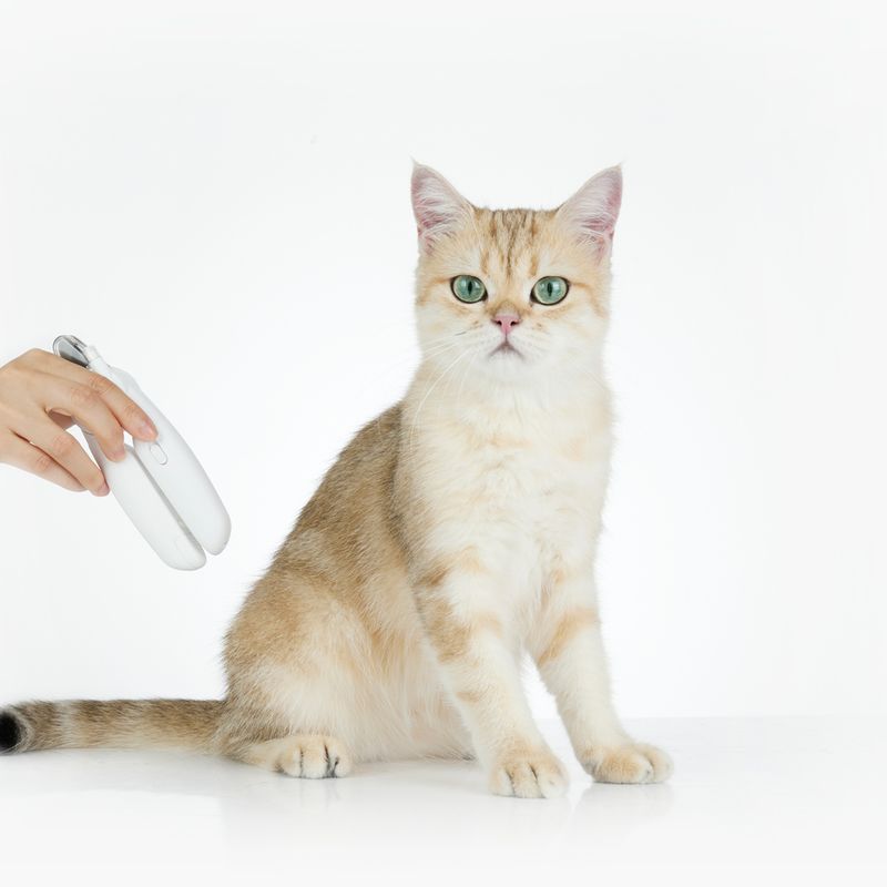 Petkit LED-Krallenschneider für Haustiere