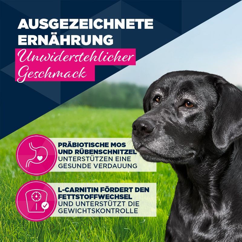 Eukanuba Senior Reich an Rind mit Kürbis